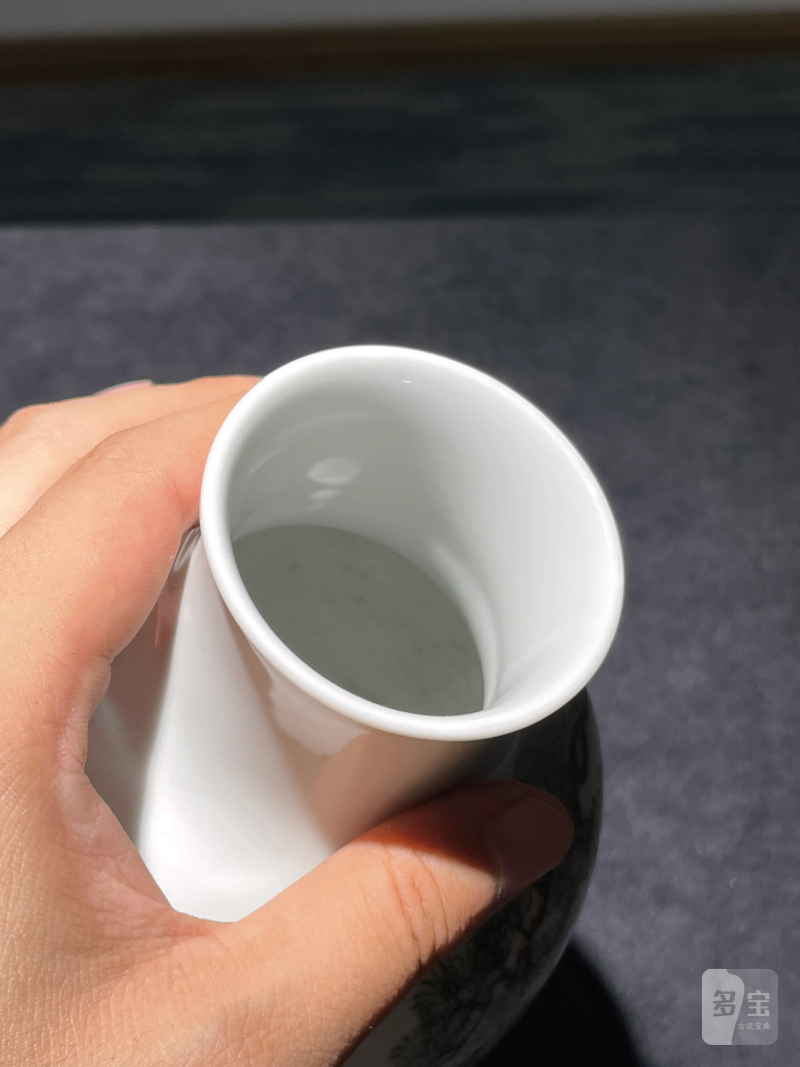 民国 粉彩驱邪降福纹莱菔瓶 - 图9
